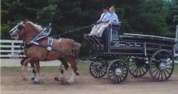 The Country Class Farm Hitch Wagon